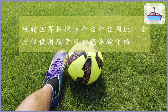 玩转世界杯投注平台平台网址：全方位使用场景与功能体验介绍