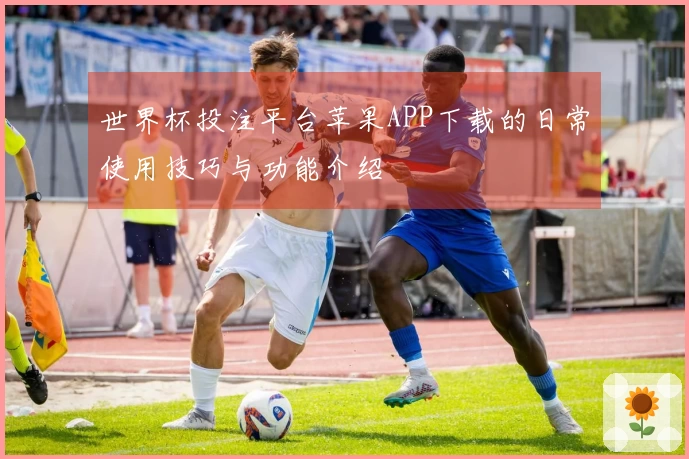 世界杯投注平台苹果APP下载的日常使用技巧与功能介绍