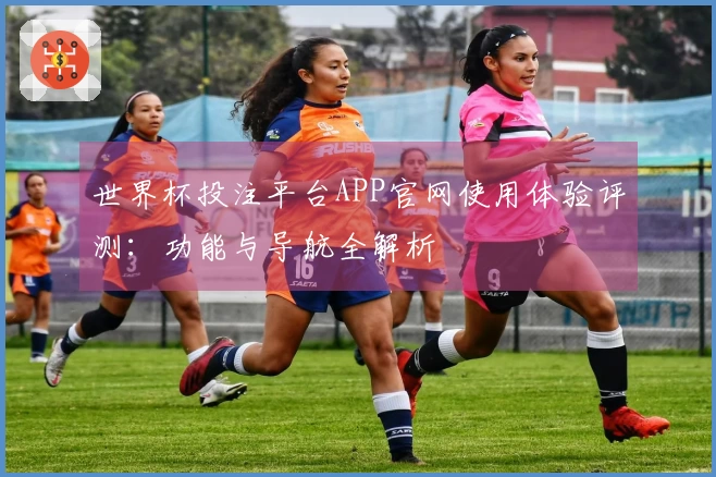 世界杯投注平台APP官网使用体验评测：功能与导航全解析