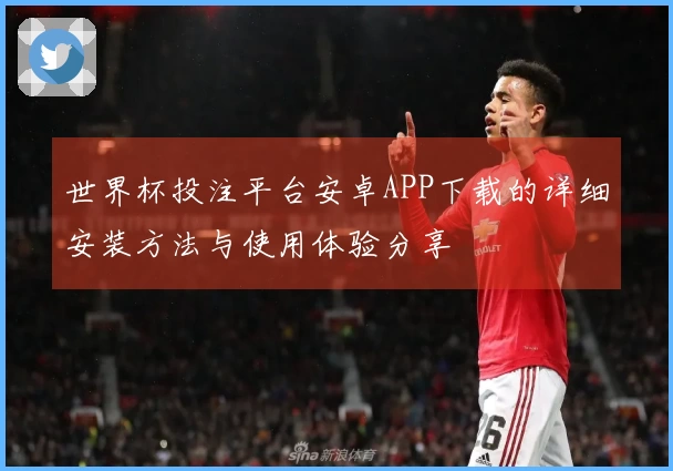 世界杯投注平台安卓APP下载的详细安装方法与使用体验分享