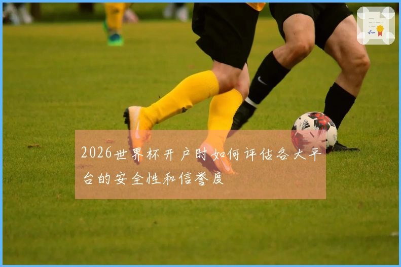2026世界杯开户时如何评估各大平台的安全性和信誉度
