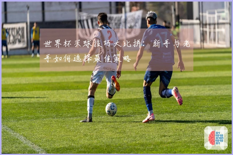 世界杯买球技巧大比拼：新手与老手如何选择最佳策略