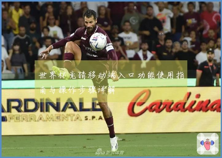 世界杯竞猜移动端入口功能使用指南与操作步骤详解