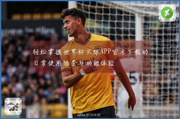 轻松掌握世界杯买球APP官方下载的日常使用场景与功能体验