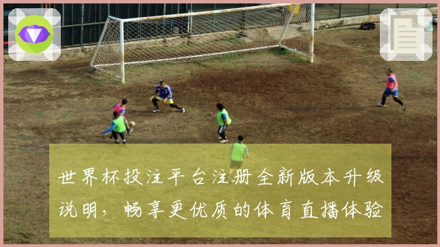 世界杯投注平台注册全新版本升级说明，畅享更优质的体育直播体验
