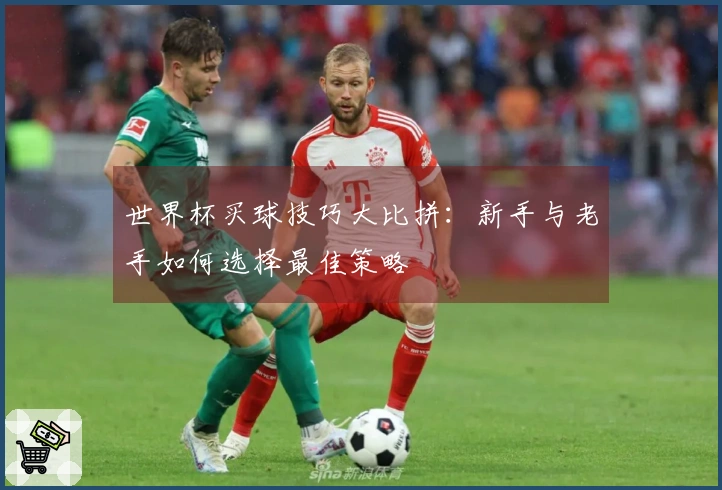 世界杯买球技巧大比拼：新手与老手如何选择最佳策略