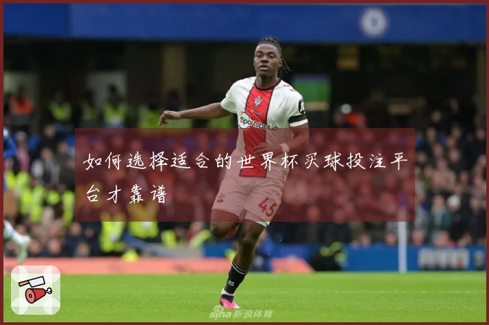 如何选择适合的世界杯买球投注平台才靠谱