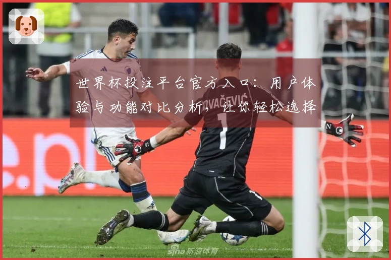 世界杯投注平台官方入口：用户体验与功能对比分析，让你轻松选择最佳平台