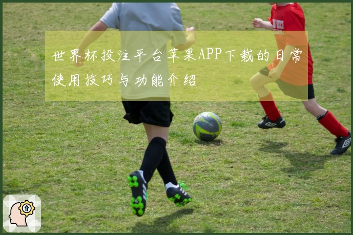 世界杯投注平台苹果APP下载的日常使用技巧与功能介绍
